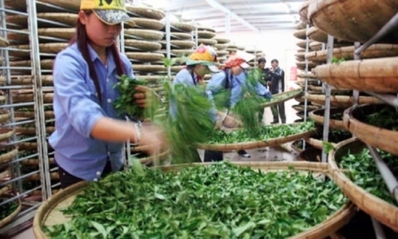 Vietnam’s exports to Pakistan rise 19% in 2025